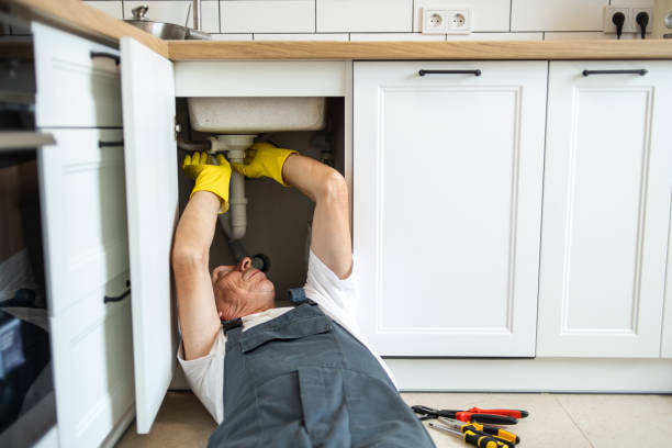 Best Affordable Plumbing Services  in Metamora, IL