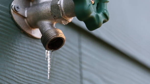 Best Shower Repair Services  in Metamora, IL