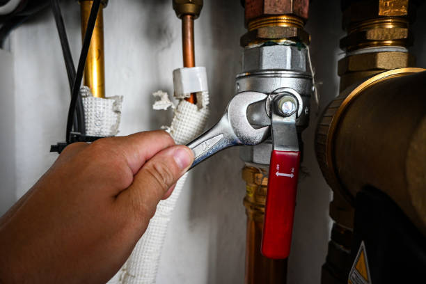 Best Leak Detection Services  in Metamora, IL